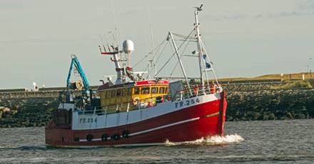 Royaume-Uni - Pêche et Brexit : les Sénateurs déplorent la nasse qui se referme sur les pêcheurs français