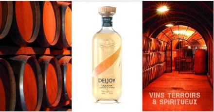 Vins & Spiritueux - DELJOY la nouvelle liqueur d'agrumes & Cognac
